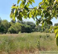 Radvaň nad Dunajom Agrarian and forest land Sale reality Komárno