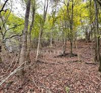 Beckov Agrarian and forest land Sale reality Nové Mesto nad Váhom