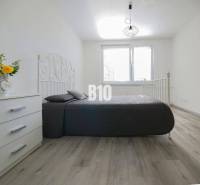 Nitra Studio Rent reality Nitra