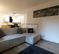 Trnava One bedroom apartment Rent reality Trnava