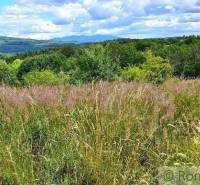 Ábelová Agrarian and forest land Sale reality Lučenec