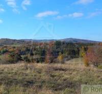 Ábelová Agrarian and forest land Sale reality Lučenec