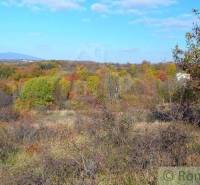 Ábelová Agrarian and forest land Sale reality Lučenec