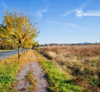 Spišská Nová Ves Agrarian and forest land Rent reality Spišská Nová Ves