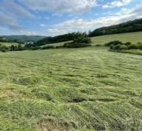 Prešov Agrarian and forest land Sale reality Prešov