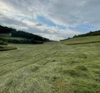 Prešov Agrarian and forest land Sale reality Prešov