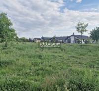 Chorvátsky Grob Land – for living Sale reality Senec