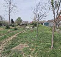 Chorvátsky Grob Land – for living Sale reality Senec