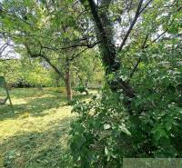 Podhorany Land – for living Sale reality Nitra