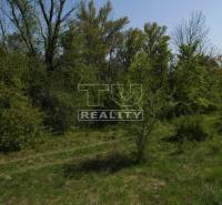 Tomášov Land – for living Sale reality Senec