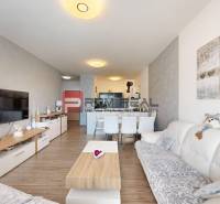 Senec One bedroom apartment Rent reality Senec