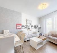 Senec One bedroom apartment Rent reality Senec