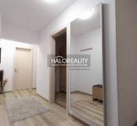 Trnava One bedroom apartment Rent reality Trnava