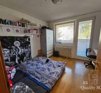 Senec One bedroom apartment Sale reality Senec