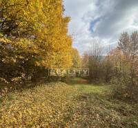 Horná Súča Agrarian and forest land Sale reality Trenčín