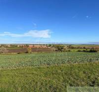 Nové Zámky Agrarian and forest land Sale reality Nové Zámky