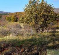 Ábelová Agrarian and forest land Sale reality Lučenec