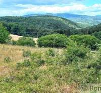 Ábelová Agrarian and forest land Sale reality Lučenec