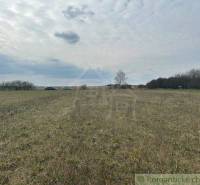 Hrnčiarske Zalužany Agrarian and forest land Sale reality Poltár