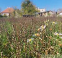 Kravany nad Dunajom Family house Sale reality Komárno