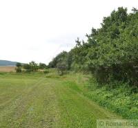 Bardejov Agrarian and forest land Sale reality Bardejov