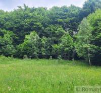 Veľké Rovné Land – for living Sale reality Bytča