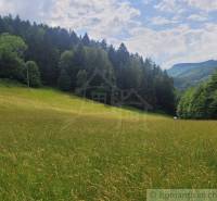 Záriečie Agrarian and forest land Sale reality Púchov