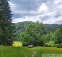 Záriečie Agrarian and forest land Sale reality Púchov