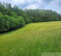 Záriečie Agrarian and forest land Sale reality Púchov