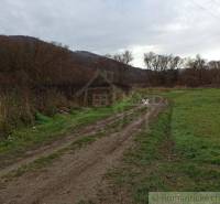 Snina Agrarian and forest land Sale reality Snina