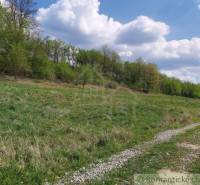 Dolné Kočkovce Agrarian and forest land Sale reality Púchov