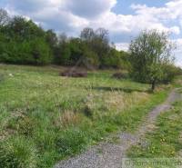 Dolné Kočkovce Agrarian and forest land Sale reality Púchov