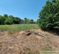 Radvaň nad Dunajom Agrarian and forest land Sale reality Komárno