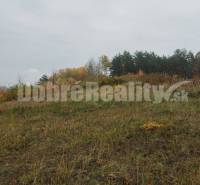 Badín Land – for living Sale reality Banská Bystrica