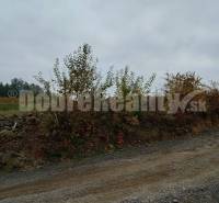 Badín Land – for living Sale reality Banská Bystrica