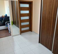 Dunajská Streda One bedroom apartment Rent reality Dunajská Streda