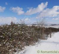 Častá Agrarian and forest land Sale reality Pezinok