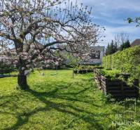 Bernolákovo Family house Sale reality Senec