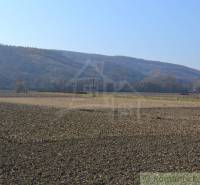 Bardejov Agrarian and forest land Sale reality Bardejov