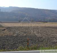 Bardejov Agrarian and forest land Sale reality Bardejov