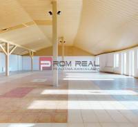 Pezinok Commercial premises Sale reality Pezinok