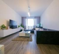 Nitra One bedroom apartment Rent reality Nitra