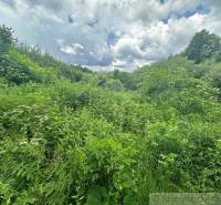 Rimavská Sobota Land – for living Sale reality Rimavská Sobota