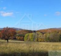 Ábelová Agrarian and forest land Sale reality Lučenec