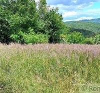 Ábelová Agrarian and forest land Sale reality Lučenec