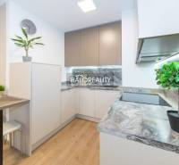 BA - Nové Mesto One bedroom apartment Rent reality Bratislava - Nové Mesto