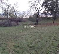 Dolný Lopašov Land – for living Sale reality Piešťany