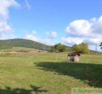 Bardejov Agrarian and forest land Sale reality Bardejov