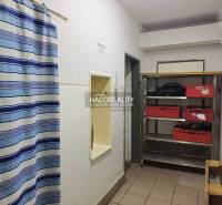 Handlová Gastro premises Rent reality Prievidza