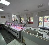 Prievidza Commercial premises Sale reality Prievidza